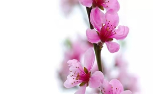 1bd86a9a92ed93832b515a6729964c2.jpg 1bd86a9a92ed93832b515a6729964c2.jpg